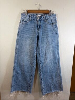 PacSun Low Rise Wide Leg Jeans w/ Frayed Hems